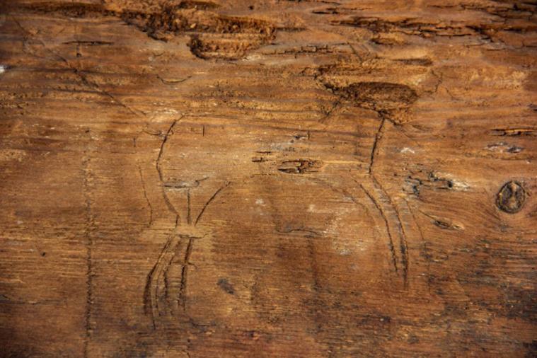 В древней гробнице в Хакасии нашли гравюру пронзенного стрелой копытного на доске